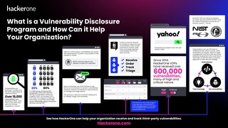 What is a Vulnerability Disclosure Program and How Can it Help Your Organization